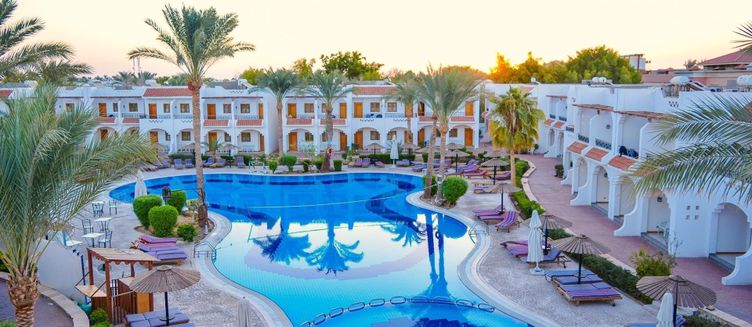 Фото отеля Dive Inn Resort