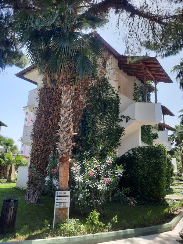 Marvida Hotel Akman Park фото 86