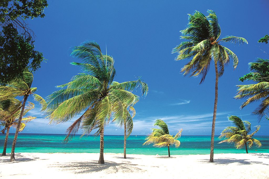 "Fun&Sun Boss Tour Cuba" фото 4