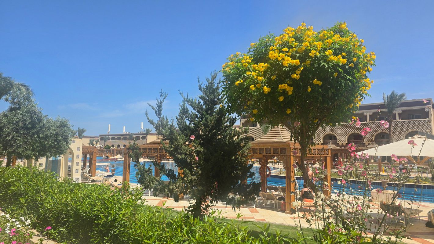 Sunrise Mamlouk Palace Resort фото 50