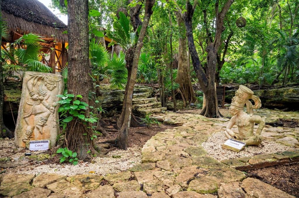Viva Wyndham Maya Resort фото 42