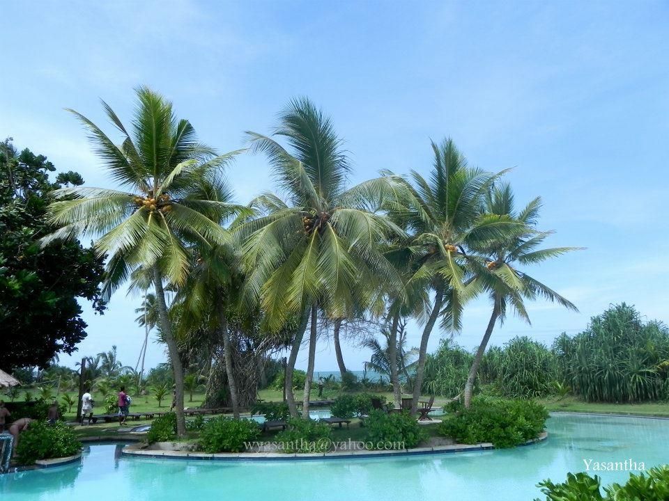 Kosgoda Beach фото 9