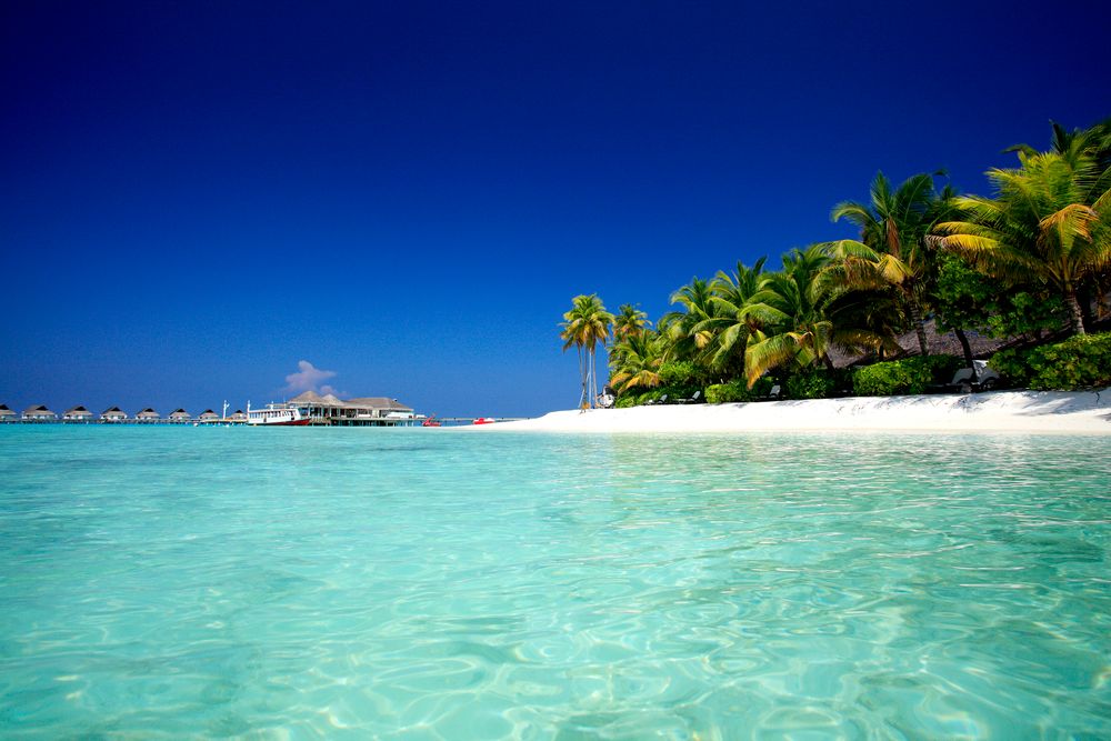 Machchafushi Island Resort & Spa Maldives, The Centara Collection фото 45