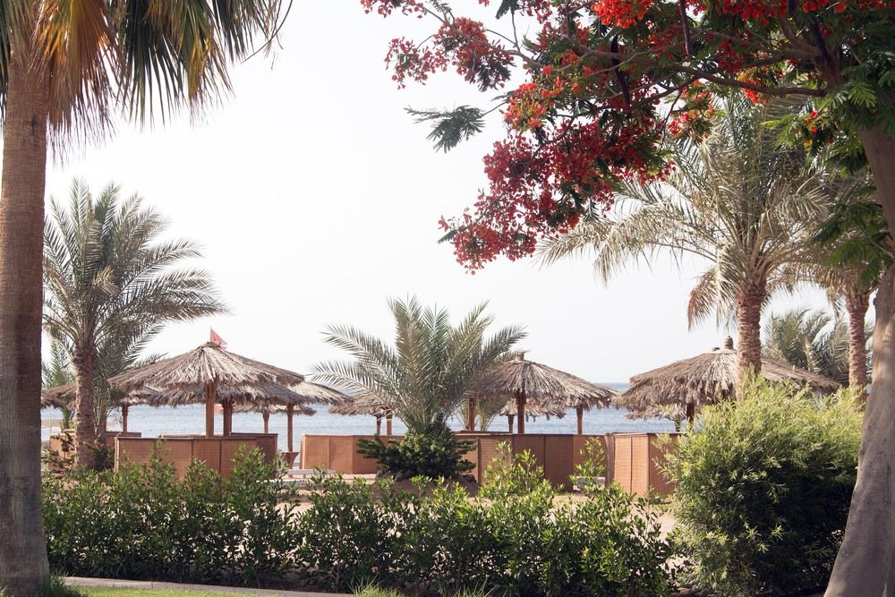 Swiss Inn Resort Dahab фото 80