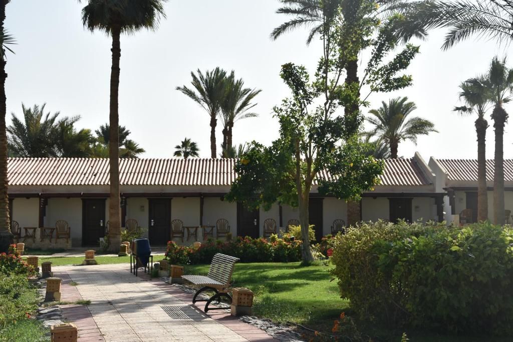 Nuweiba Club Resort фото 79