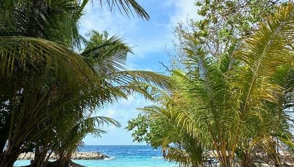 Фото отеля Dhoani Maldives Boutique