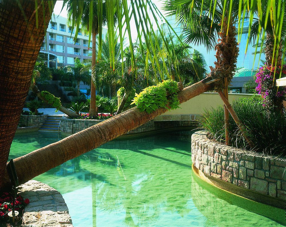 Isrotel Royal Garden фото 48