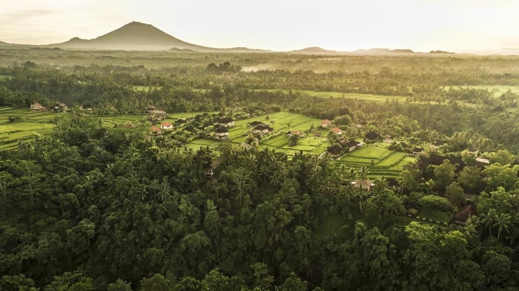 COMO Uma Ubud - CHSE Certified фото 42