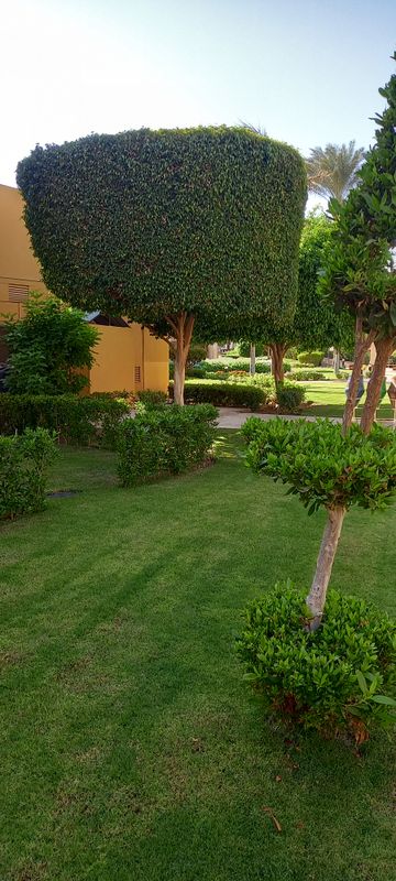 Stella Gardens Resort & Spa Makadi Bay фото 71