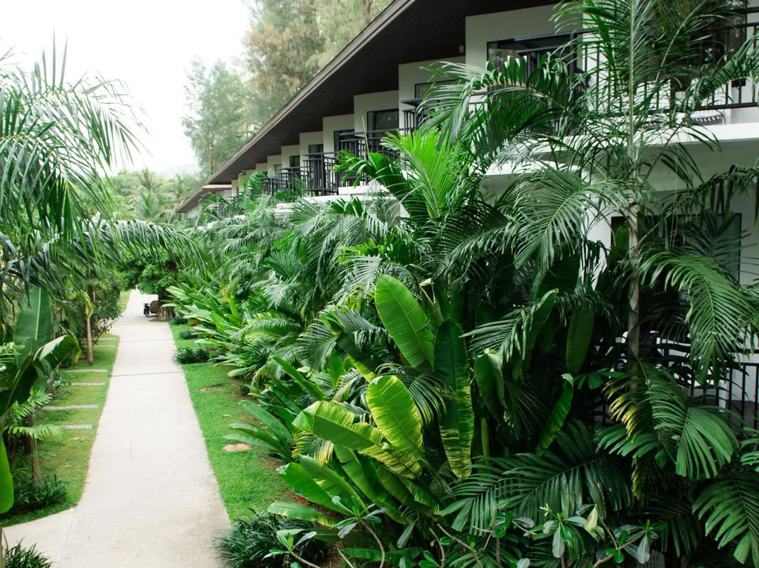 Nai Yang Beach Resort & Spa фото 111