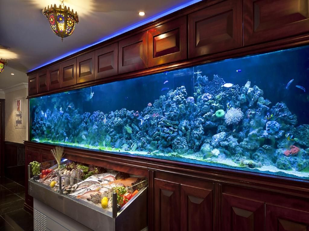 Swiss Hotel Corniche фото 21