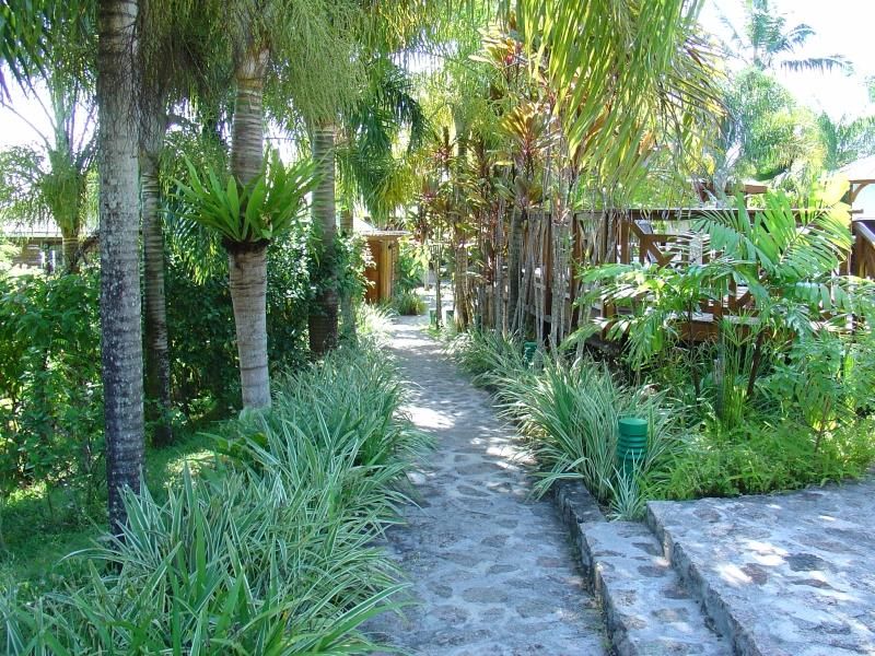 Le Jardin Des Palmes фото 27