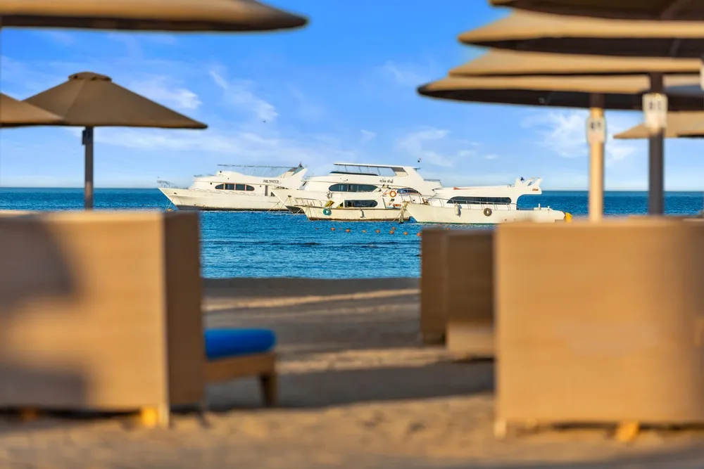 Pickalbatros Palace Resort (Hurgada) фото 32