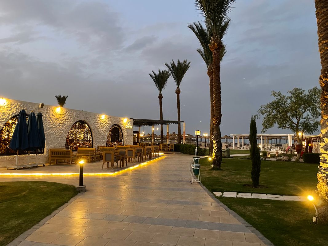 Sunrise Garden Beach Resort фото 60