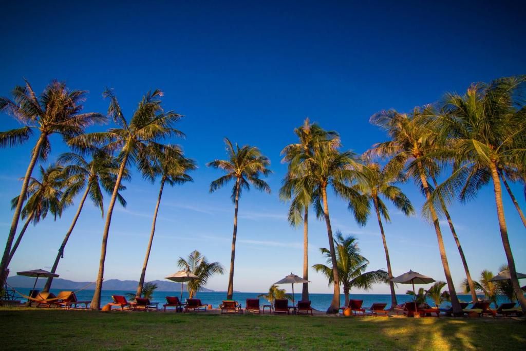 Coco Palm Beach Resort фото 42