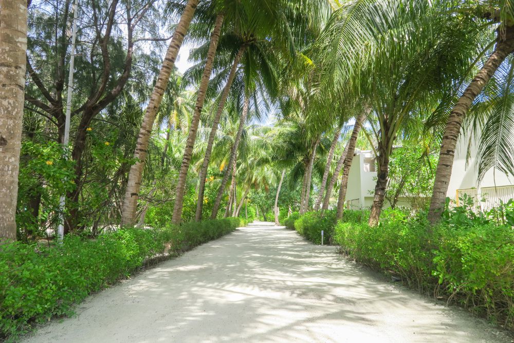 Holiday Inn Resort Kandooma Maldives фото 99
