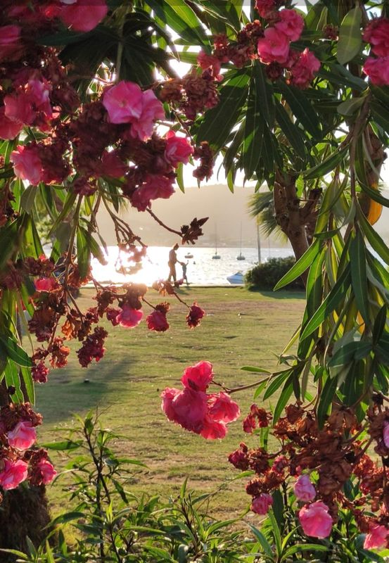 Riva Bodrum Resort (Adults Only) фото 33