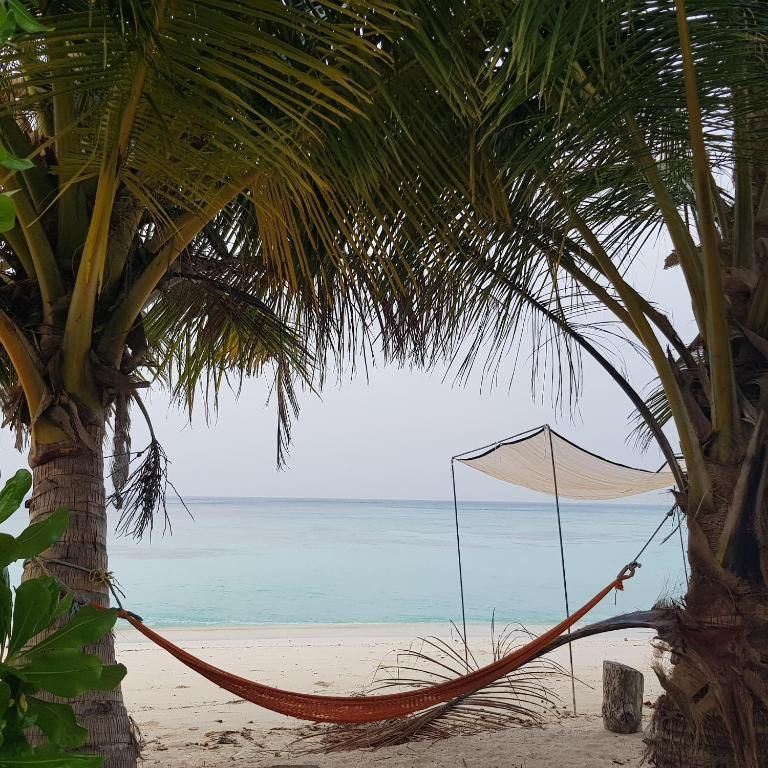 Vaali Island Escapes & Dive фото 31