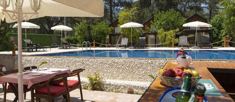 Фото отеля Koala Bungalows