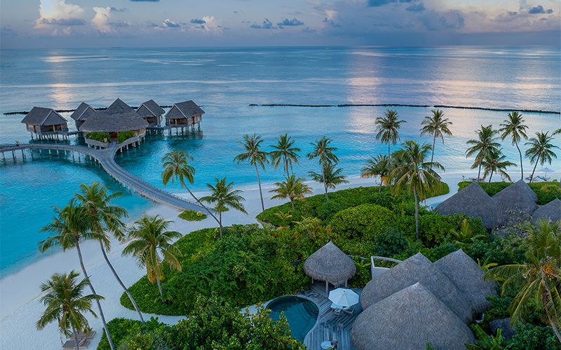 The Nautilus Beach & Ocean Houses Maldives фото 33