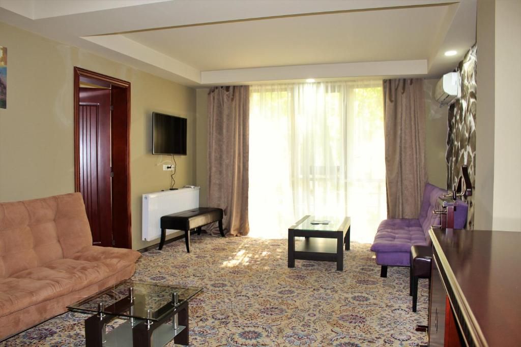 Borjomi Palace Health & Spa Center фото 47