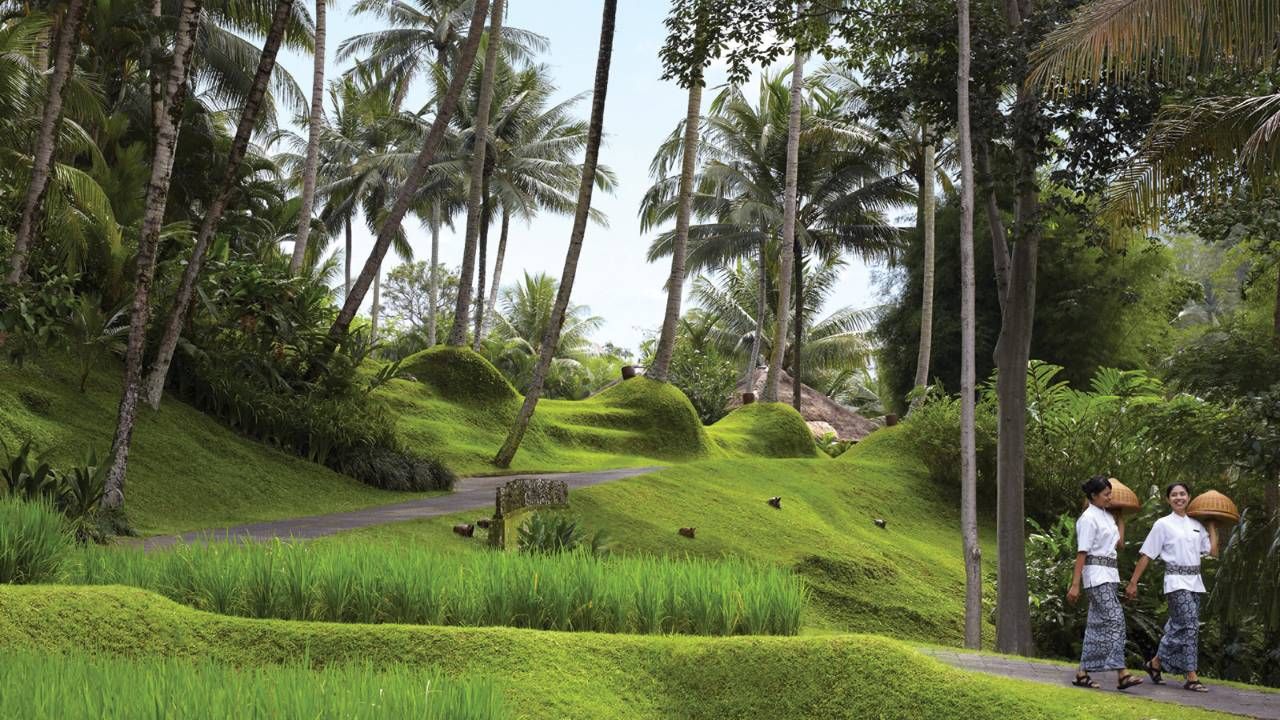 Four Seasons Resort Bali at Sayan фото 34