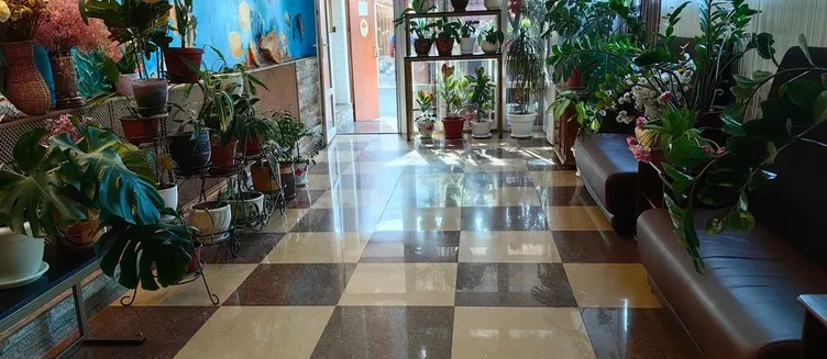 Фото отеля Гостевой дом «Варвара»