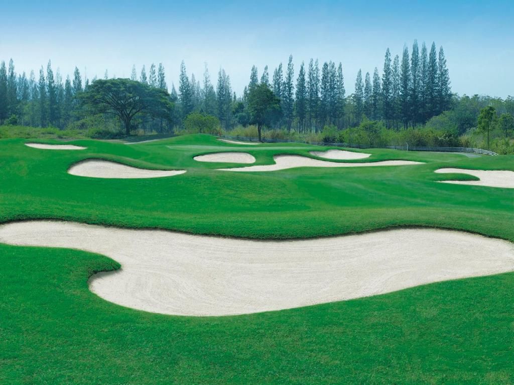 Lake View Resort and Golf Club фото 39