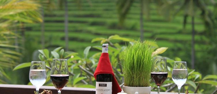 Фото отеля Puri Sebali Resort