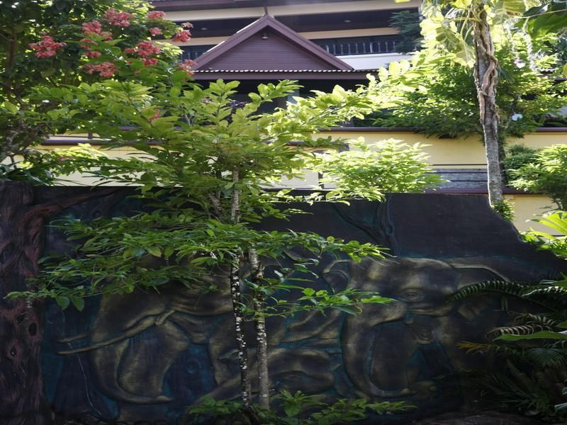 Patong Cottage Resort фото 6