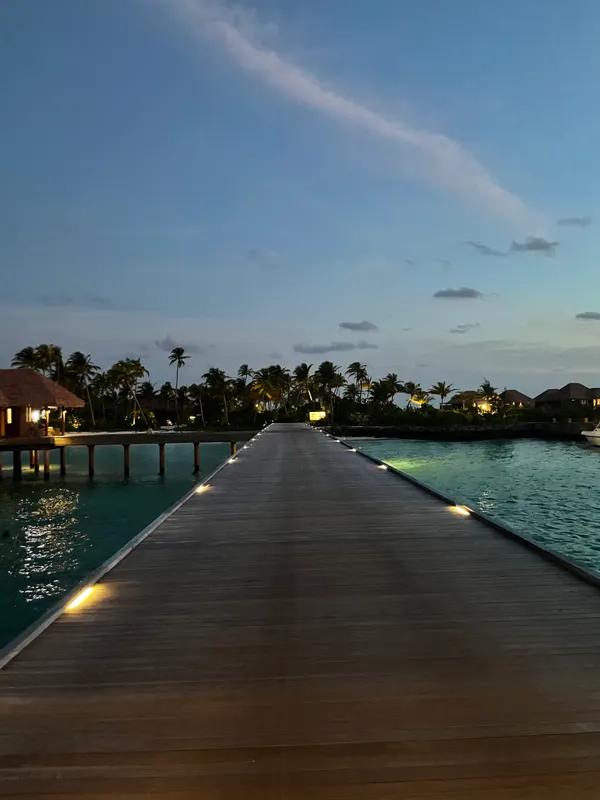 Melia Whale Lagoon Maldives фото 54
