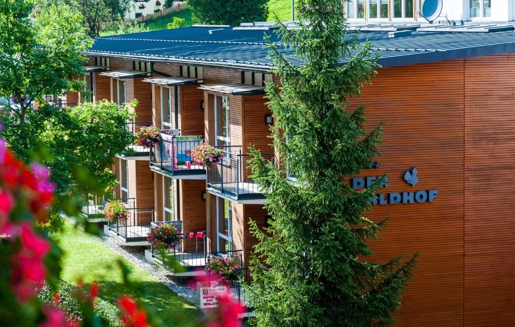 Hotel Der Waldhof фото 62