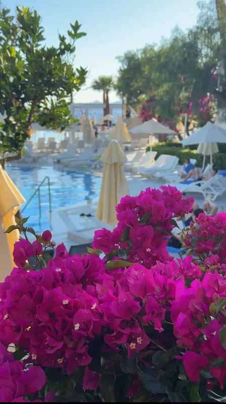 Labranda TMT Bodrum Resort фото 75