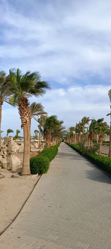 Coral Beach Hurghada фото 42