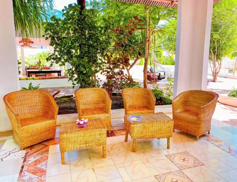Guest House «Papaya Guest House Nungwi» фото 7