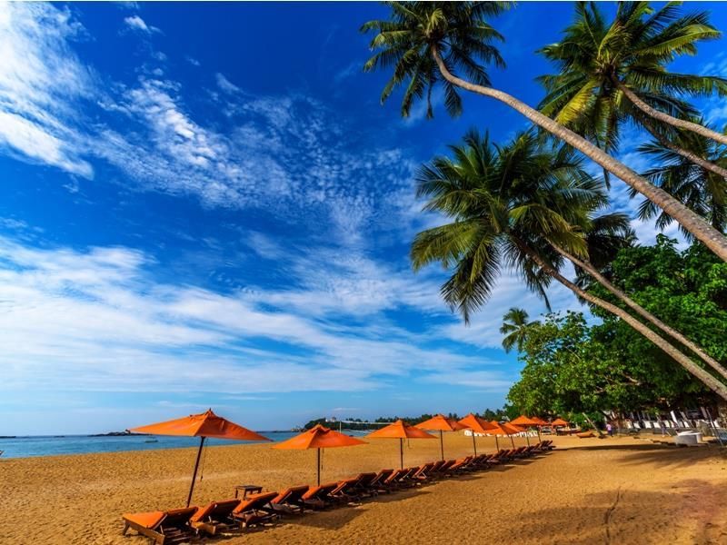 Calamander Unawatuna Beach фото 16