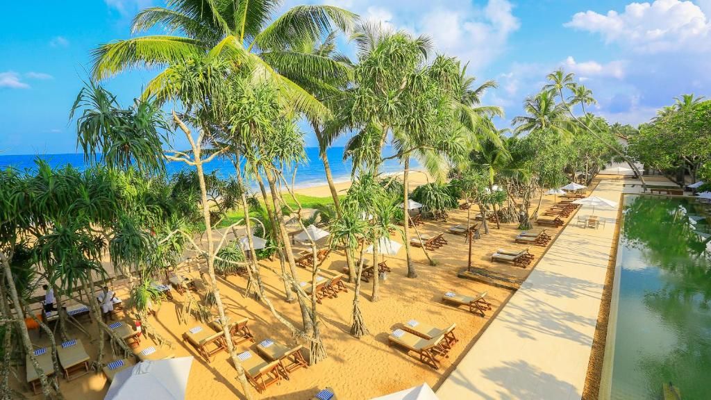 Pandanus Beach Resort & Spa фото 4