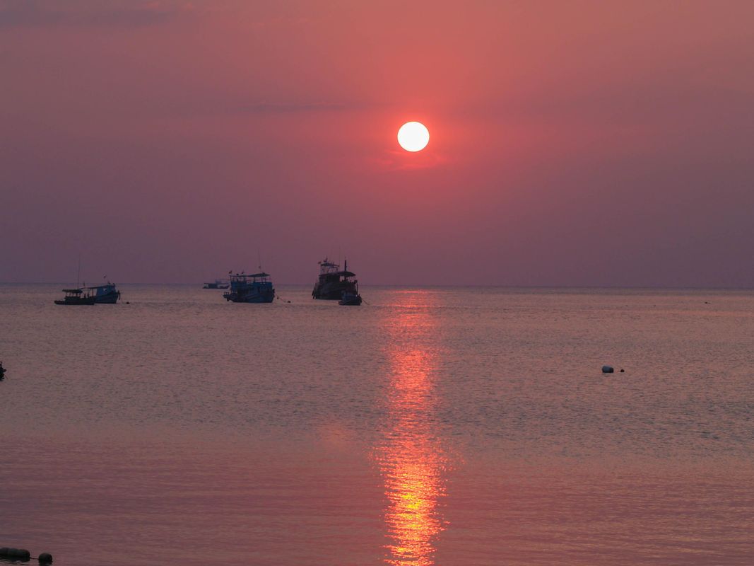 Ko Tao Resort фото 4