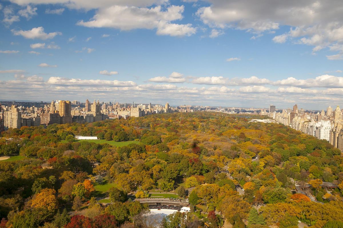 Park Lane Hotel - A Central Park Hotel фото 9