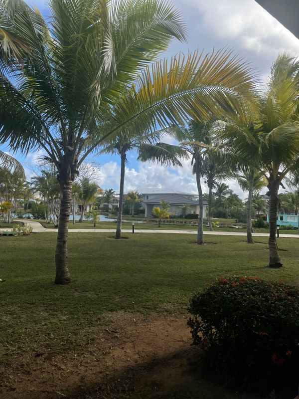 Memories Caribe Beach Resort (Adults Only) фото 47
