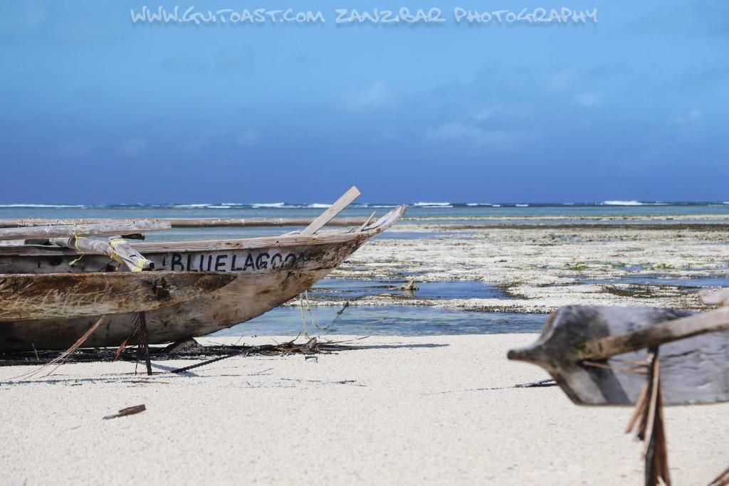 Dongwe Ocean View фото 48