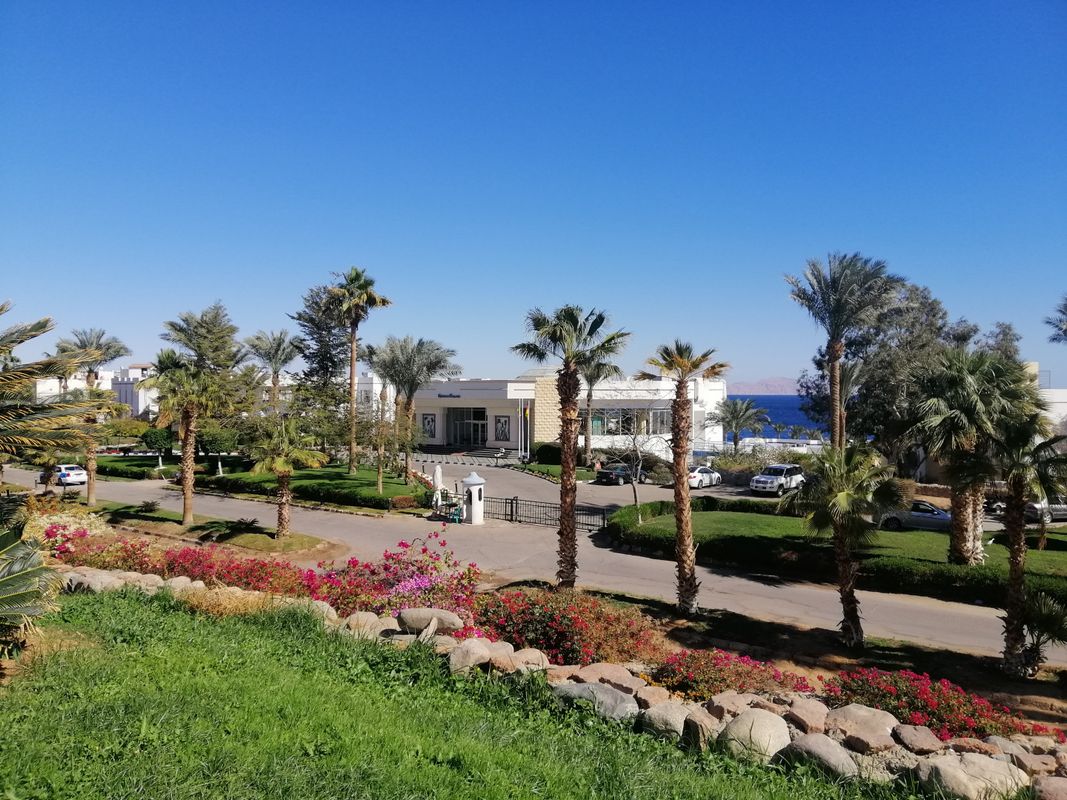 Queen Sharm Resort View фото 23