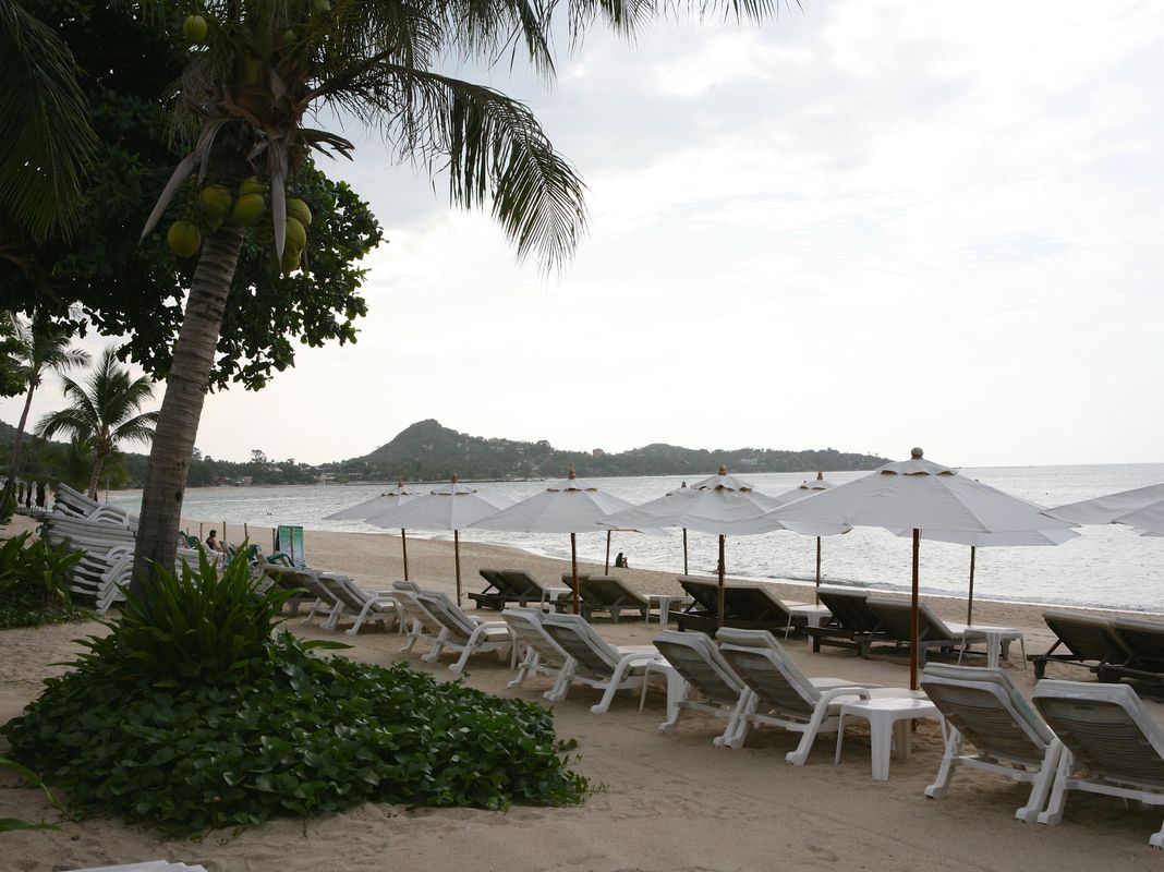Samui Jasmine Resort фото 23