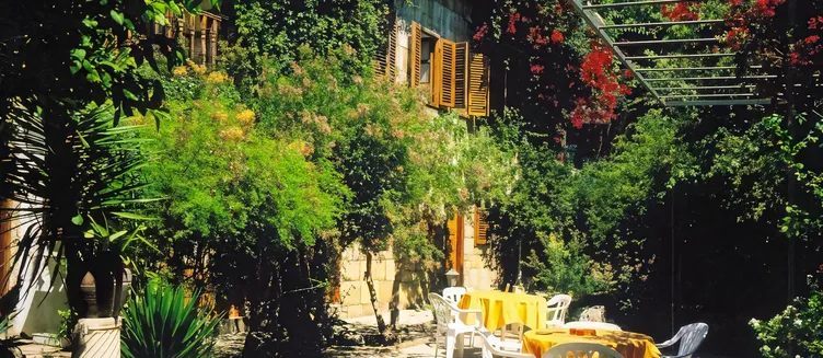 Фото отеля Begonville Pansiyon