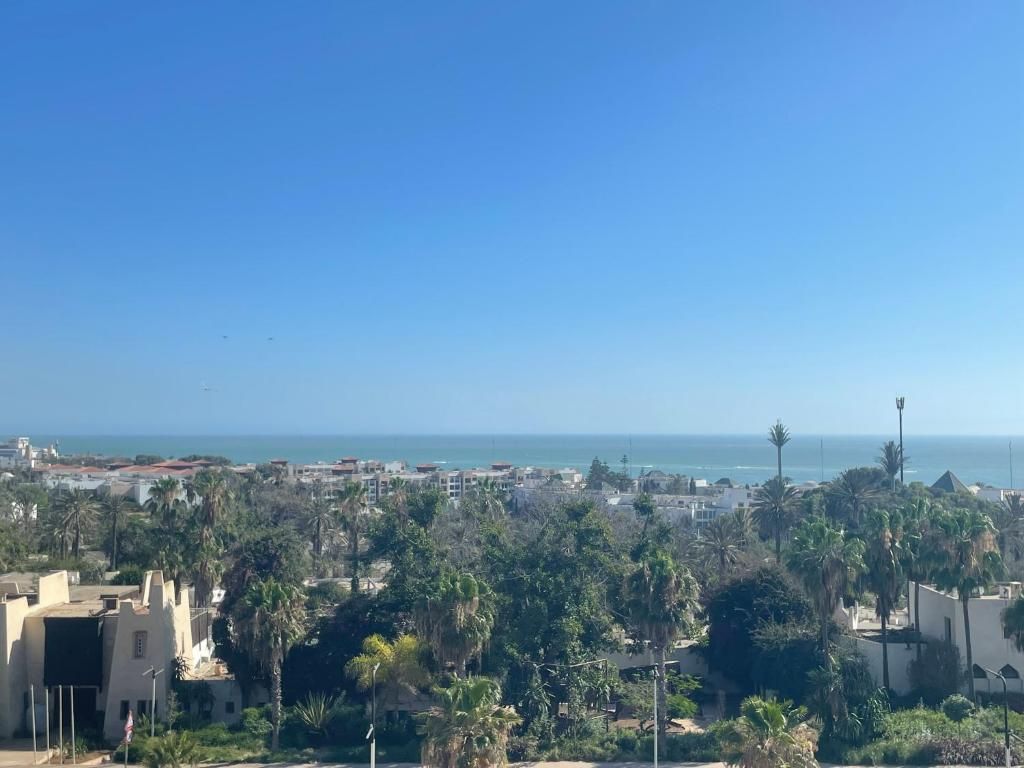Hamilton Agadir фото 34
