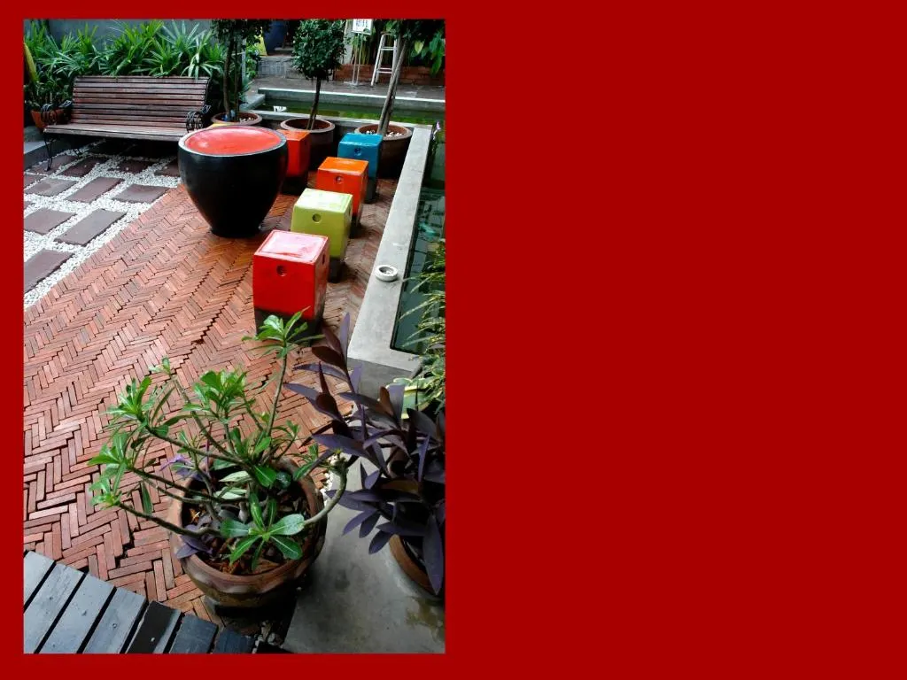 The Jomtien Twelve фото 44