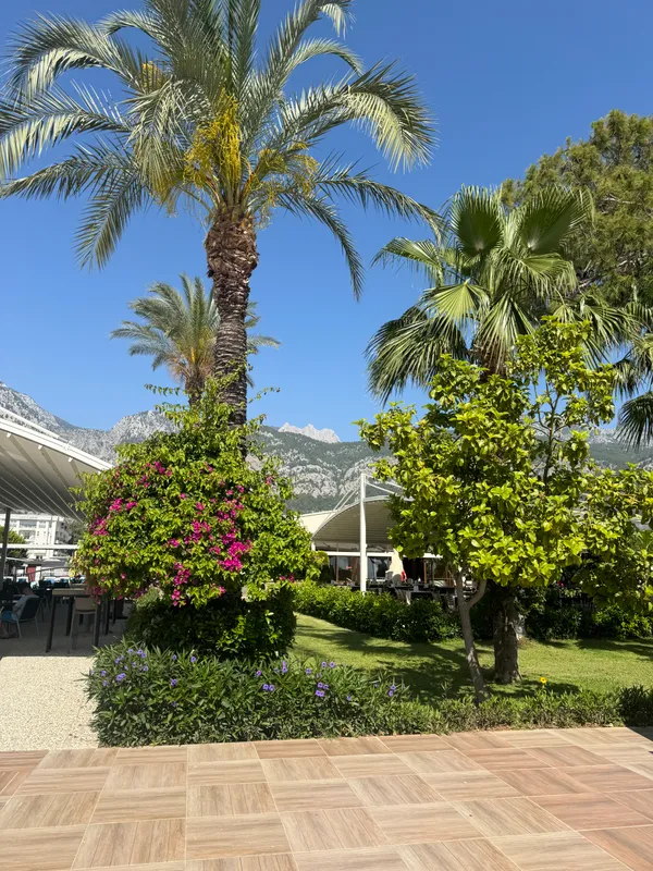 Club Hotel Belpinar фото 55