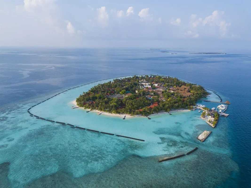 Niva Kurumba Maldives фото 29
