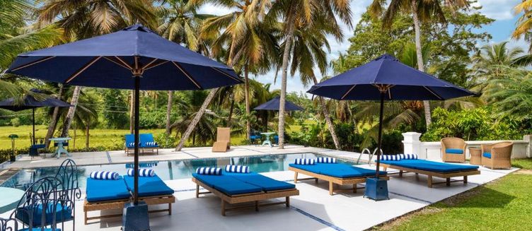 Фото отеля Clingendael Weligama