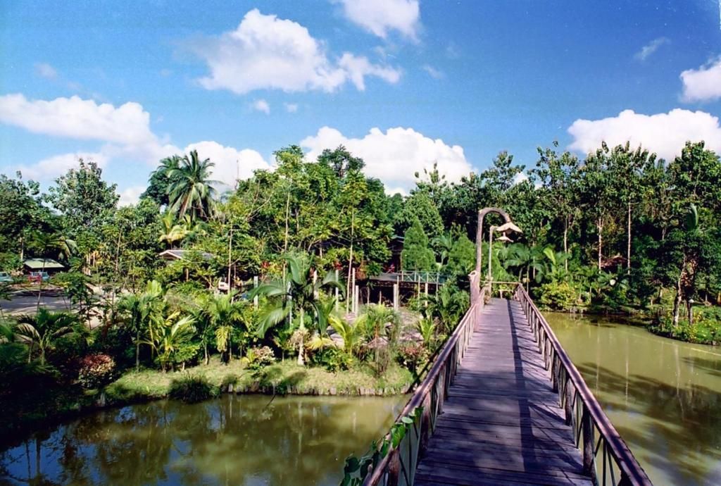Sepilok Jungle Resort фото 0